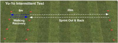 Foot and Soccer Referees’: A Pilot Study Searching “Performance” Throughout Prevention